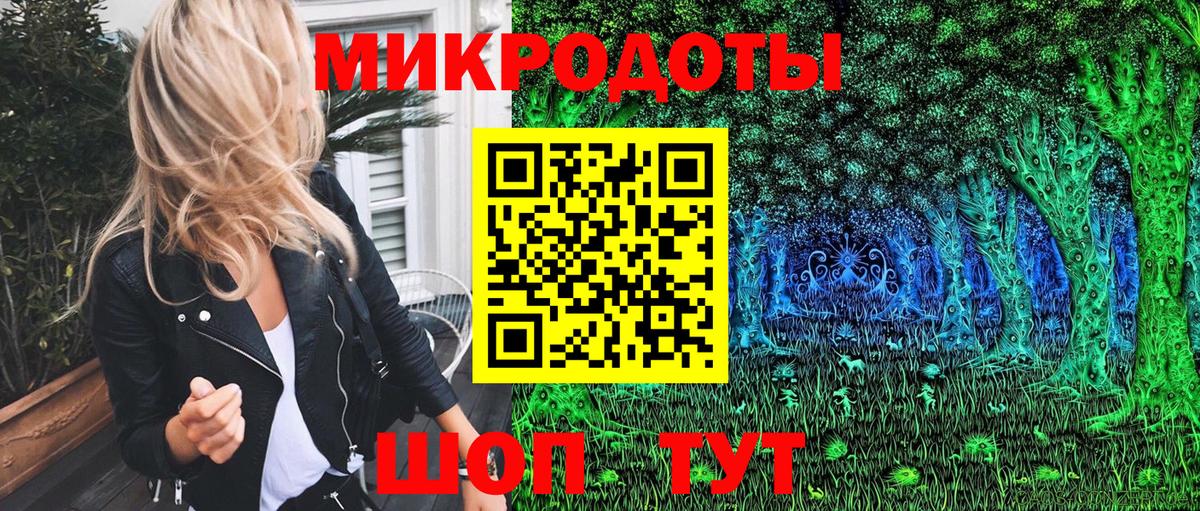 Псилоцибиновые грибы Psilocybine cubensis Узловая