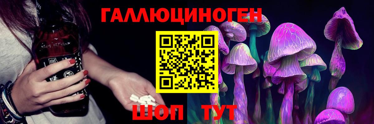 Псилоцибиновые грибы Cubensis  Вход с VPN  Узловая 